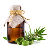 Olio di Tea Tree