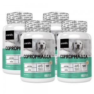 Coprophagia Dogs