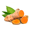 Radice di Zenzero, ingrediente contenuto nella formula di glucosamina e condroitina 180 capsule Animigo